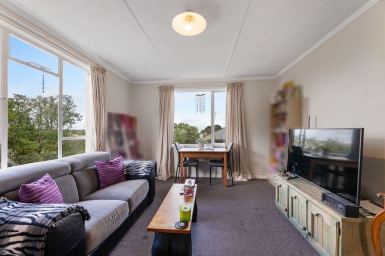 Photo of property in 221 Tomahawk Road, Andersons Bay, Dunedin, 9013