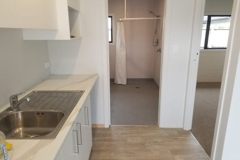 Photo of property in 109 Nixon Street, Hamilton East, Hamilton, 3216