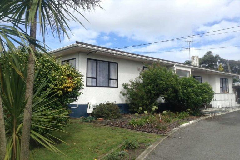 Photo of property in 61 Fitzherbert Avenue, Springvale, Whanganui, 4501