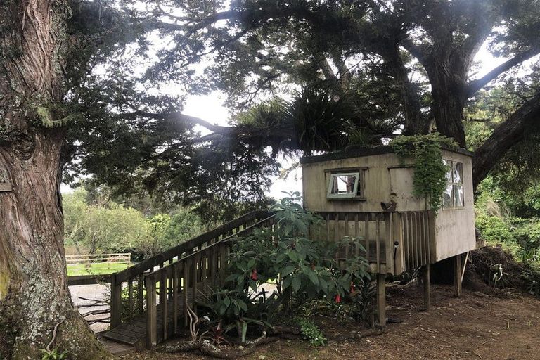 Photo of property in 6 Estaugh Close, Kauri, Kamo, 0185