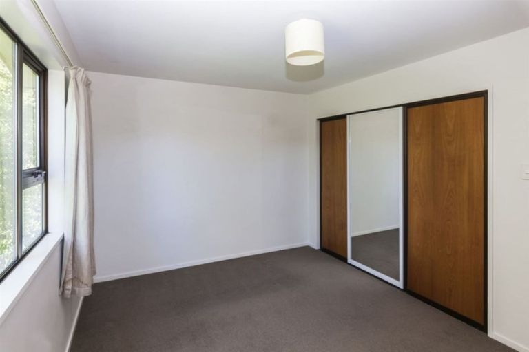 Photo of property in 53a Opawa Road, Waltham, Christchurch, 8023