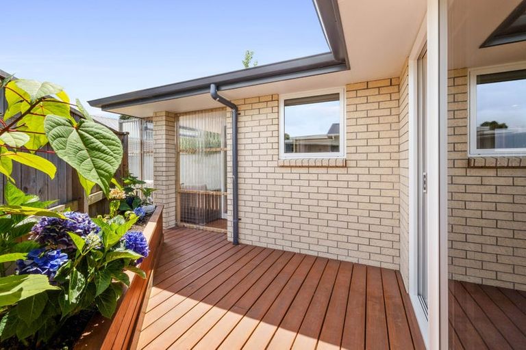 Photo of property in 48 Wallace Place, Westown, New Plymouth, 4310