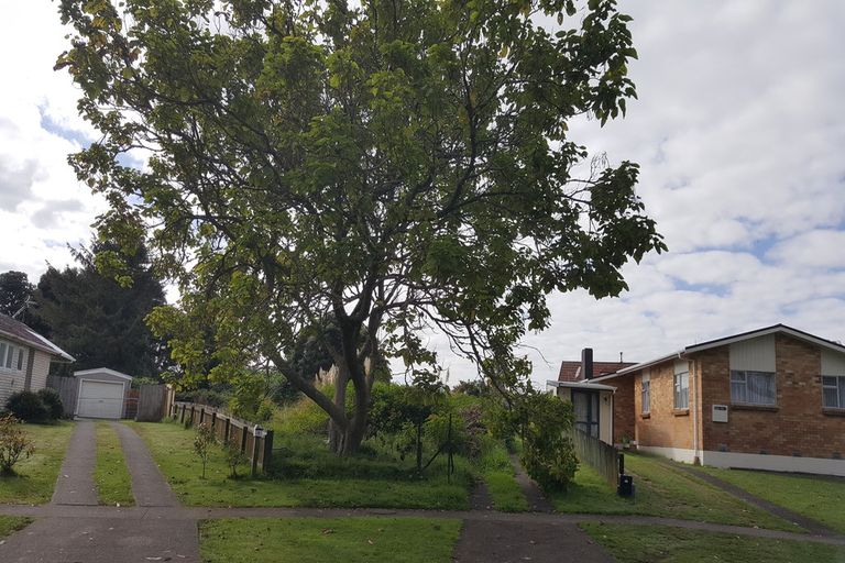 Photo of property in 4 Graham Place, Huntly, 3700