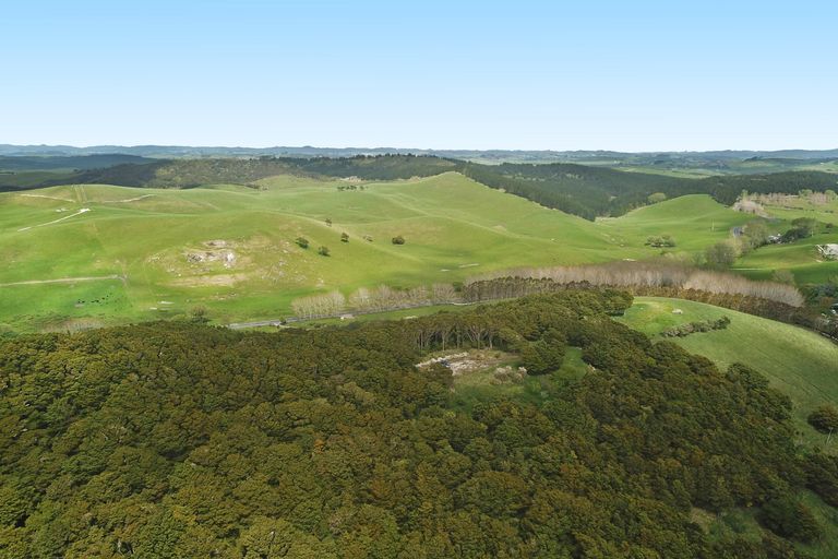 Photo of property in 542e Oneriri Road, Kaiwaka, 0573