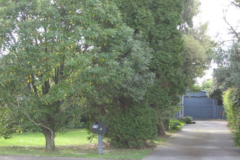 Photo of property in 14 Tasman Street, Havelock North, 4130