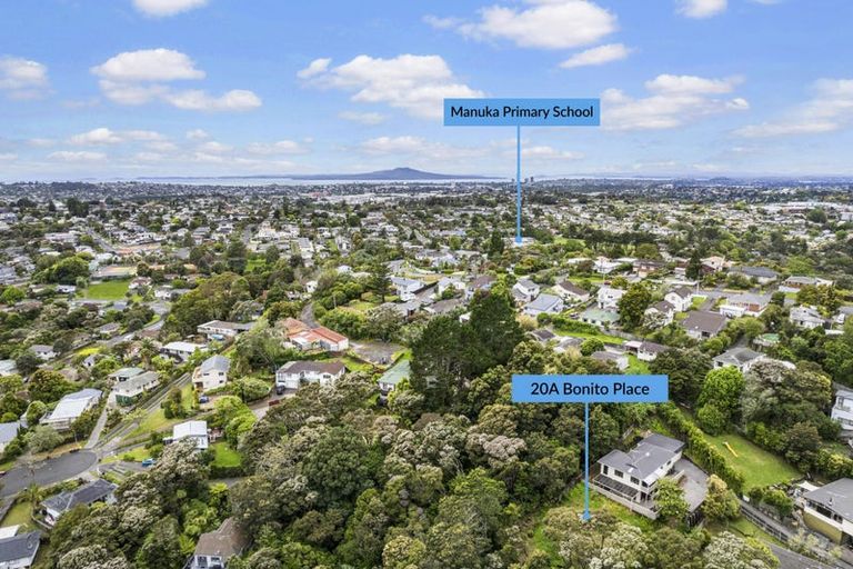 Photo of property in 20a Bonito Place, Bayview, Auckland, 0629