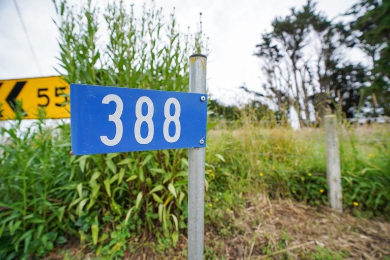 Photo of property in 388 Slope Point Road, Slope Point, Tokanui, 9884