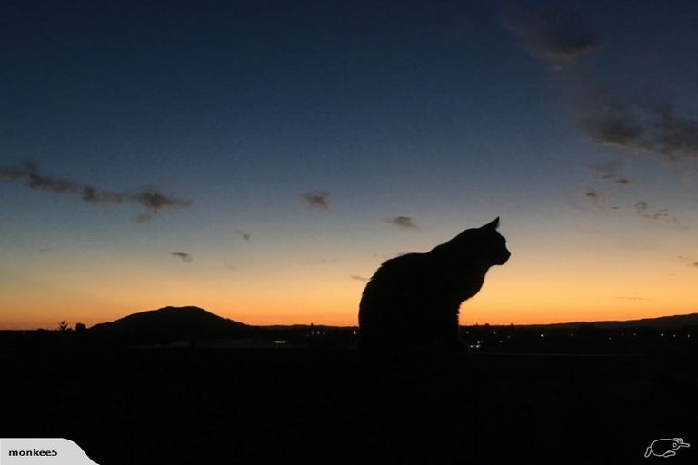 Photo of property in 198 Saint Andrews Way, Te Awamutu, 3800