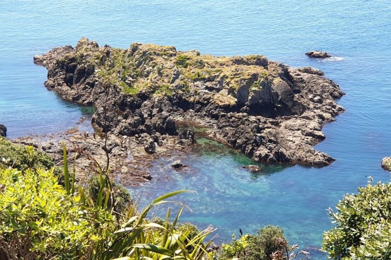 Photo of property in 100 Omaha Block Access Road, Leigh, 0985