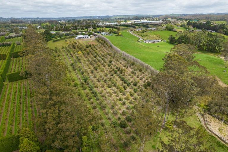 Photo of property in 89 Conifer Lane, Kerikeri, 0294