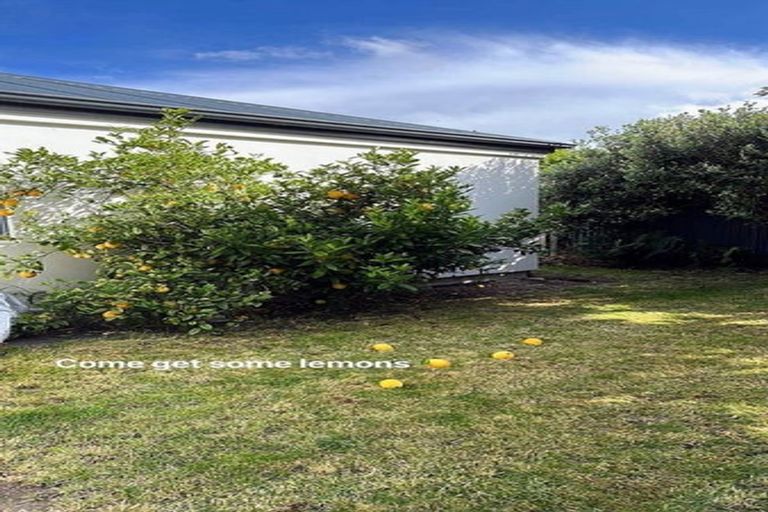 Photo of property in 74a Sylvan Street, Hillmorton, Christchurch, 8024