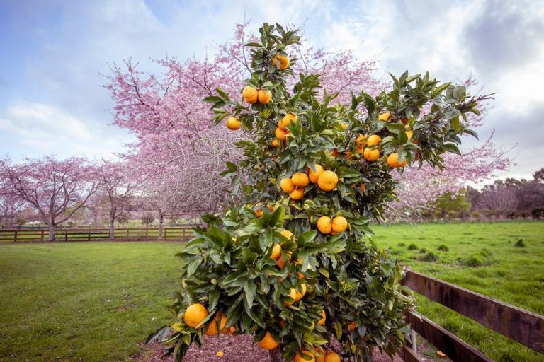 Photo of property in 67d Davison Road, Newstead, Hamilton, 3286