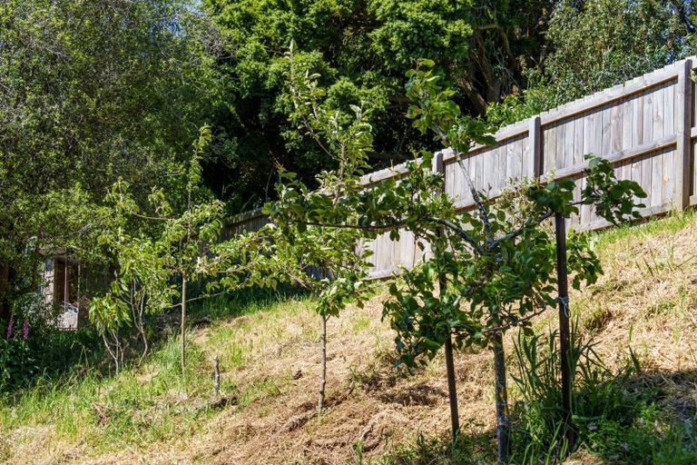 Photo of property in 24 Fred Hollows Way, Glenleith, Dunedin, 9010