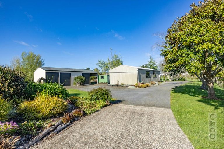 Photo of property in 1224 State Highway 16, Waimauku, 0883