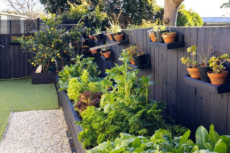 Photo of property in 2e Dominion Road, Nawton, Hamilton, 3200