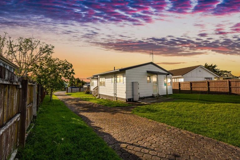 Photo of property in 26 Hinerau Street, Henderson, Auckland, 0612