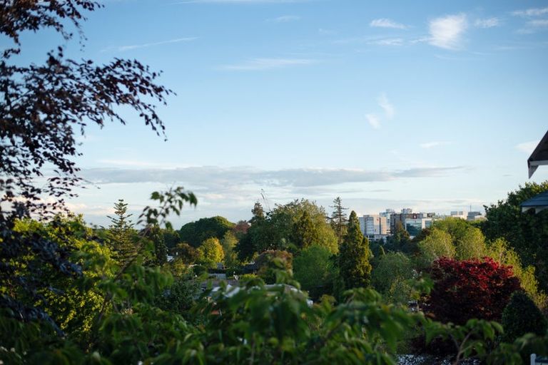 Photo of property in 9 Oakley Avenue, Claudelands, Hamilton, 3214