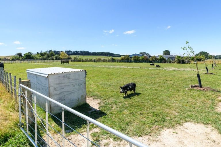 Photo of property in 20 Meavy Lane, Ashhurst, Palmerston North, 4470