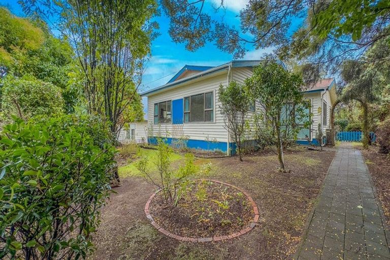 Photo of property in 51 Arapuni Street, Putaruru, 3411