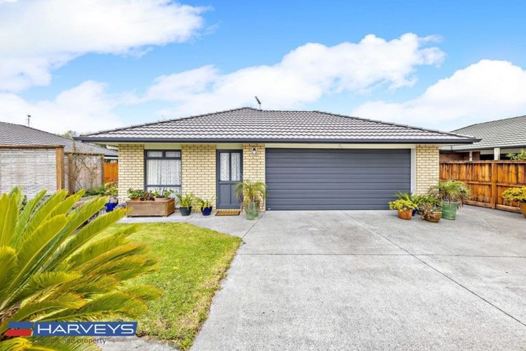 Photo of property in 3 Tiel Lane, Papakura, 2110