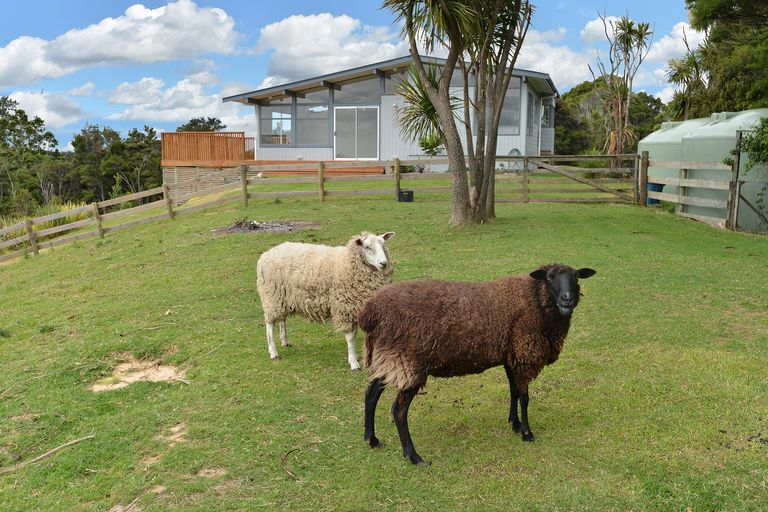 Photo of property in 43 Tahunatapu Road, Parua Bay, Whangarei, 0174