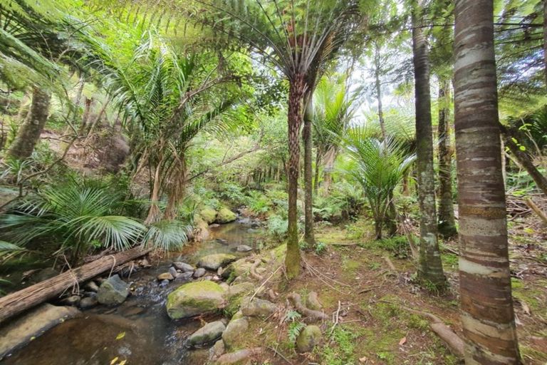 Photo of property in 50 Lone Kauri Road, Karekare, New Lynn, 0772