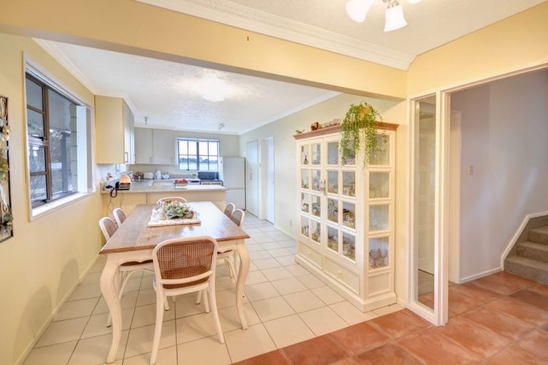 Photo of property in 105 Glenross Street, Glenross, Dunedin, 9011