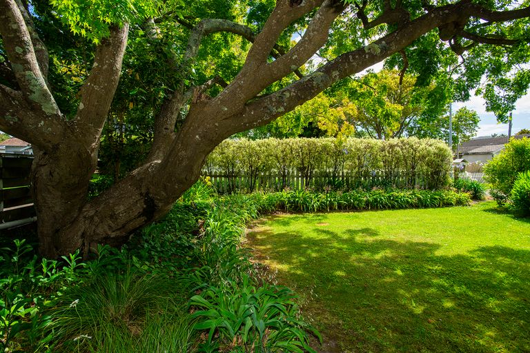 Photo of property in 119 Iranui Road, Inner Kaiti, Gisborne, 4010
