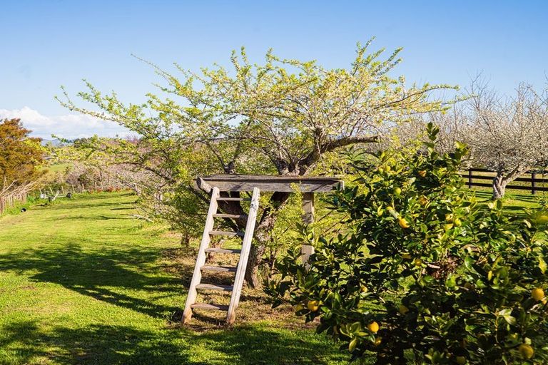 Photo of property in 48 Travers Road, Te Kauwhata, 3782