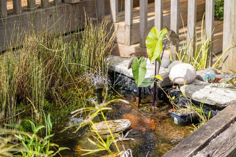 Photo of property in 93 Gibson Lane, Te Awamutu, 3800