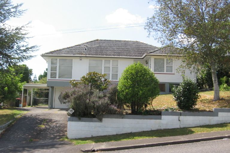 Photo of property in 59 Ellis Avenue, Mount Roskill, Auckland, 1041