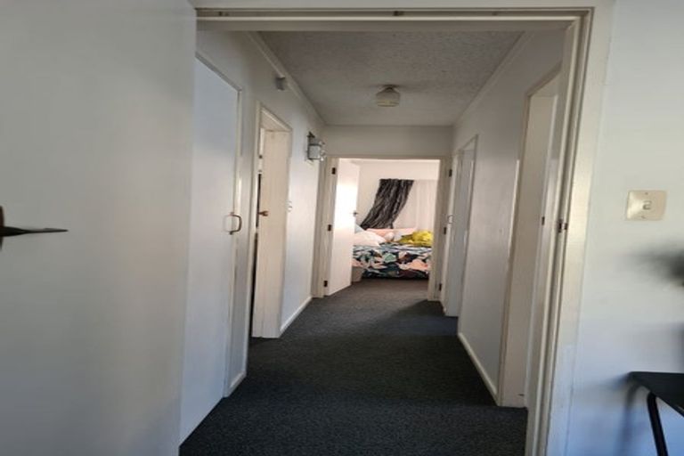 Photo of property in 3g Willoughby Street, Whitiora, Hamilton, 3200