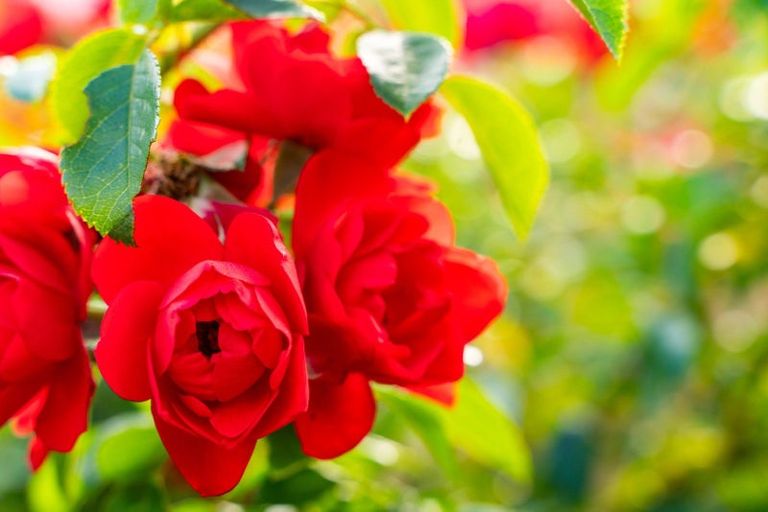 Photo of property in 37 Station Road, Dargaville, 0310