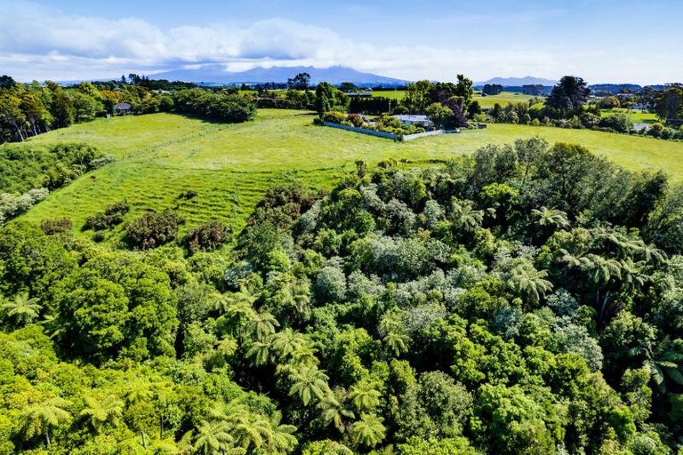 Photo of property in 203 Henwood Road, Westgate, 0814