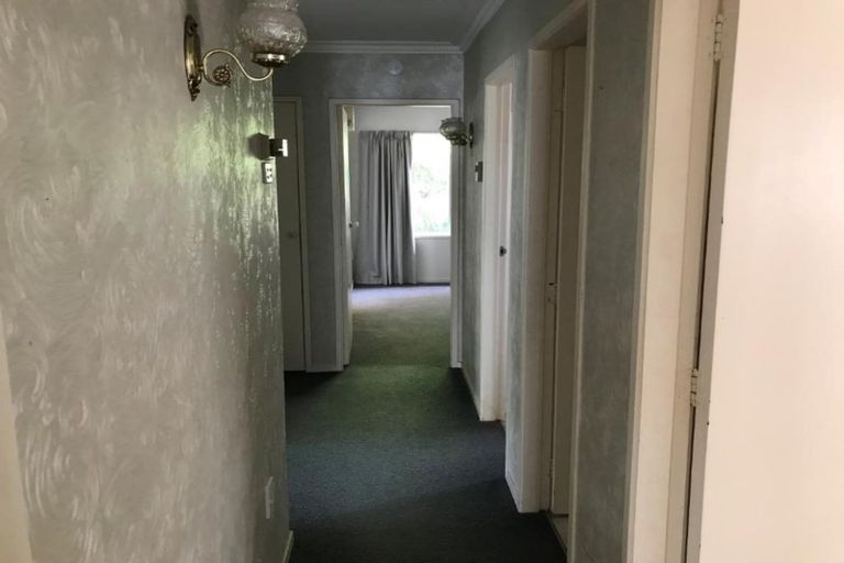 Photo of property in 62 Glen Lynne Avenue, Queenwood, Hamilton, 3210