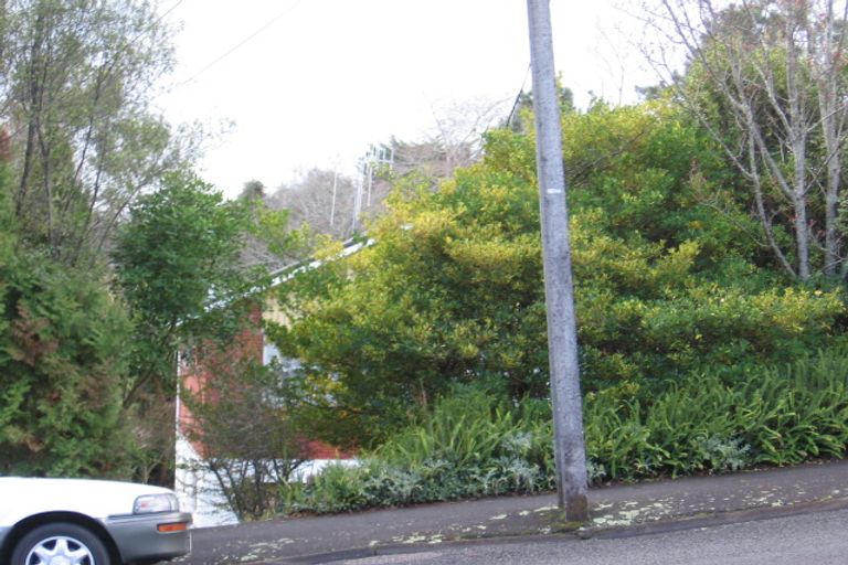 Photo of property in 45 Edinburgh Road, Hillcrest, Hamilton, 3216