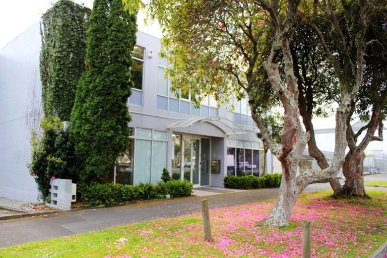 Photo of property in 12 Knox Street, Hamilton Central, Hamilton, 3204