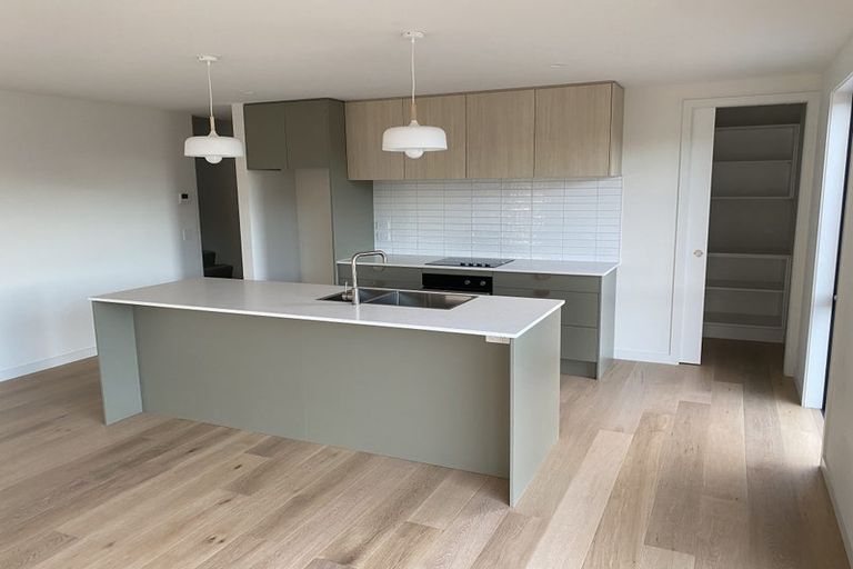 Photo of property in 101 Spur Ridge Rise, Jacks Point, 9371