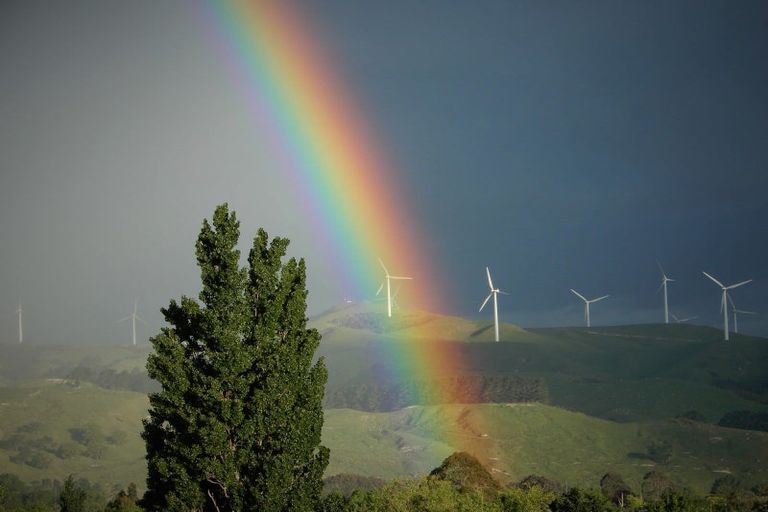 Photo of property in 215 Oxford Street, Ashhurst, 4810