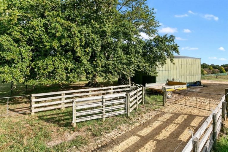 Photo of property in 372 Roto O Rangi Road, Rotoorangi, Cambridge, 3495