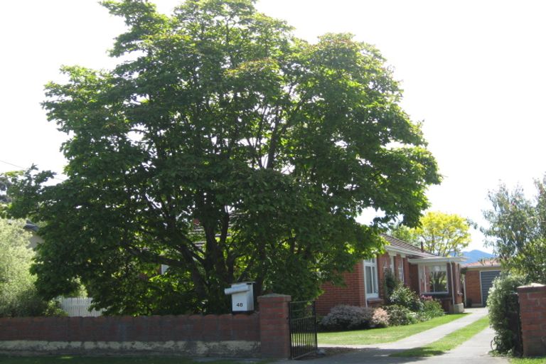 Photo of property in 48 Rogers Street, Blenheim, 7201