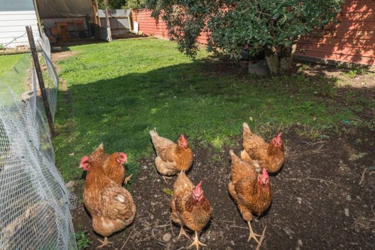 Photo of property in 41a Honore Drive, Linton, Palmerston North, 4472