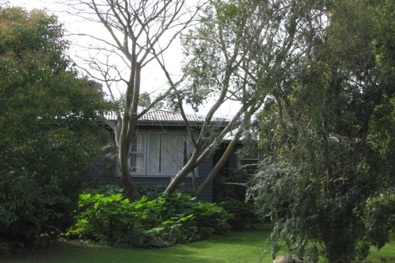 Photo of property in 14 Tasman Street, Havelock North, 4130