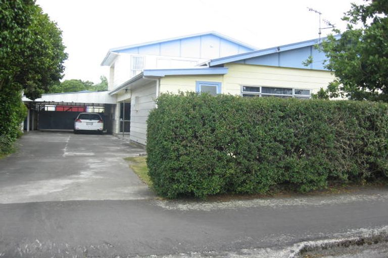 Photo of property in 41 Sedcole Street, Pahiatua, 4910