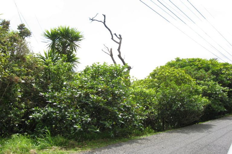 Photo of property in 47 Rayner Road, Piha, 0772