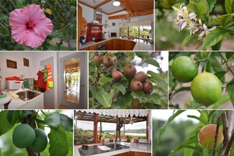 Photo of property in 221 Pahi Road, Pahi, Paparoa, 0571