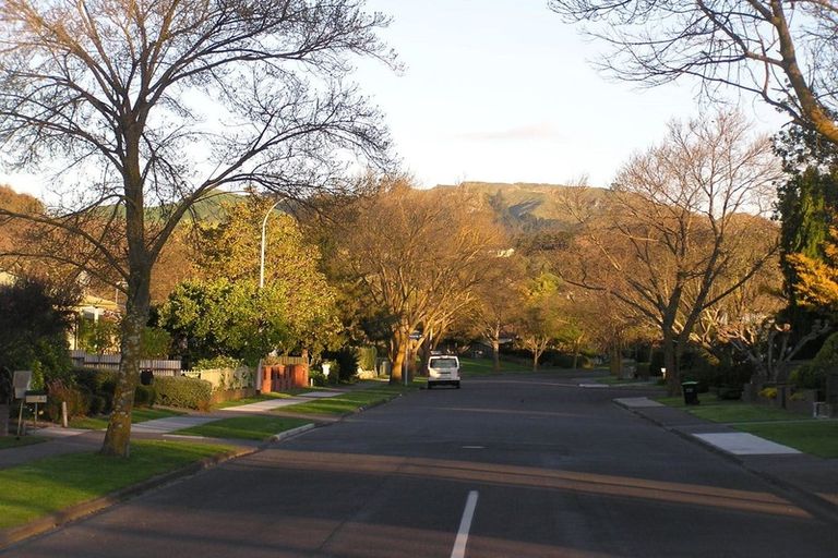 Photo of property in 103 Middle Road, Havelock North, 4130