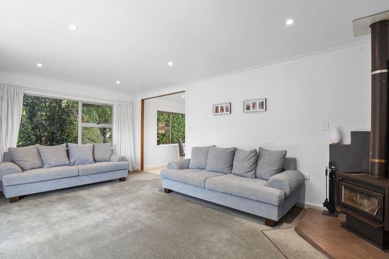 Photo of property in 51 Roto Street, Tahunanui, Nelson, 7011