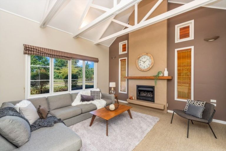 Photo of property in 99 Kay Road, Flagstaff, Hamilton, 3281