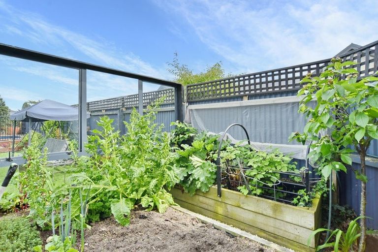 Photo of property in 20a Victoria Street, Rangiora, 7400